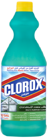Clorox product
